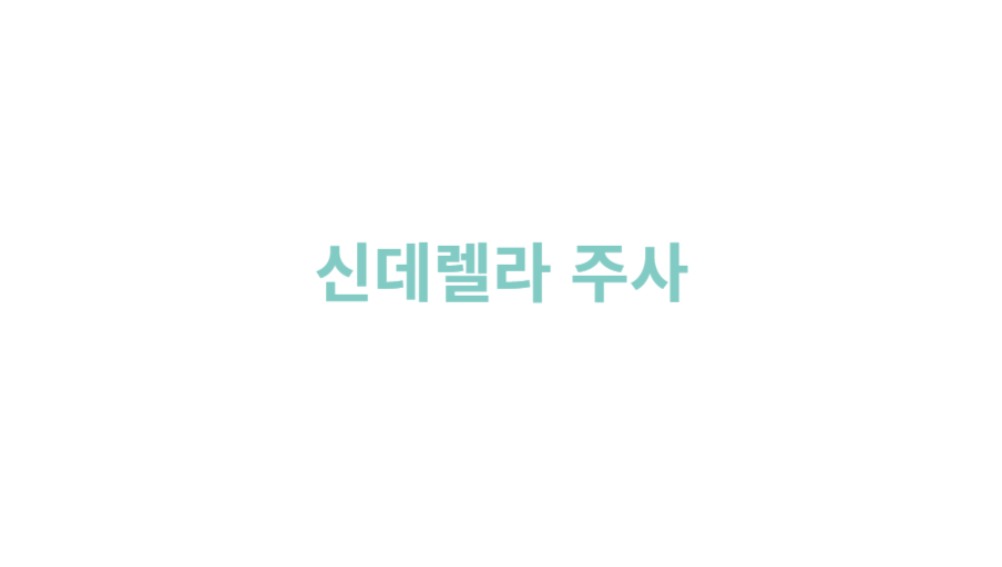 대표이미지