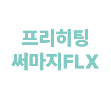 프리히팅 써마지FLX 이미지